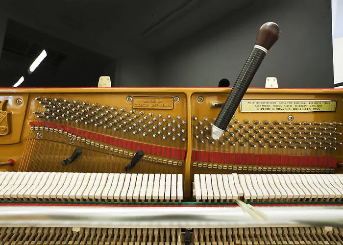 The Piano - Kwaadham52 Rum i privatbostad Gent