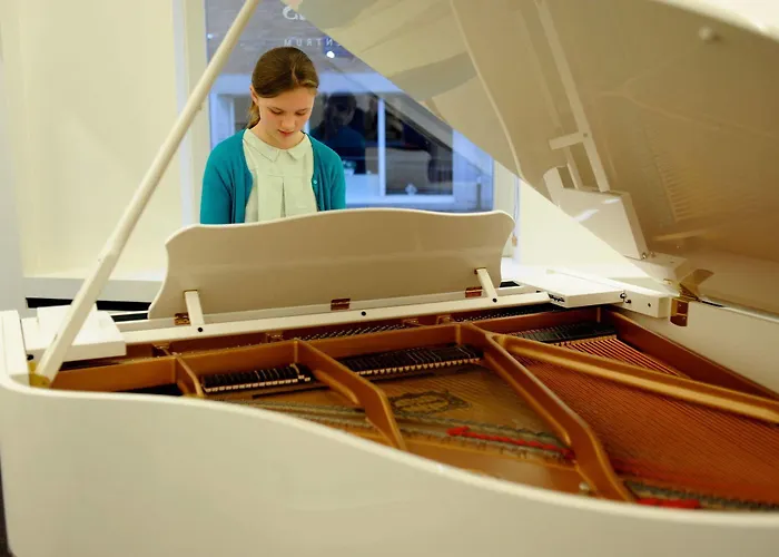 Rum i privatbostad The Piano - Kwaadham52 Gent